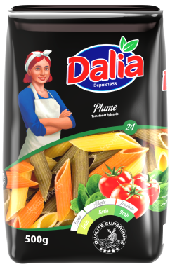 Pâtes plume Tomates & Epinards DALIA 500g