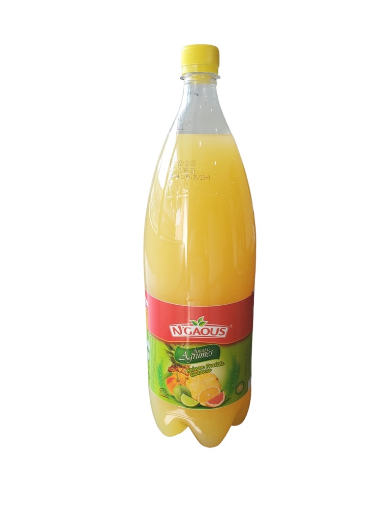 Boisson N'GAOUS Agrumes Ananas 2L