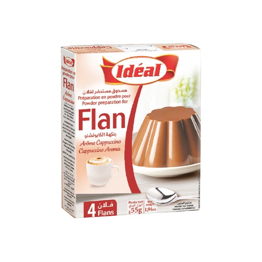 [FICP] Flan cappuchino IDÉAL