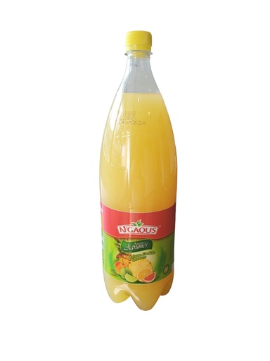 [BGNAA2] Boisson N'GAOUS Agrumes Ananas 2L