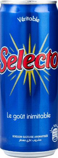 [BGS24CL] Boisson gazeuse SELECTO Cannettes 24 CL x 6